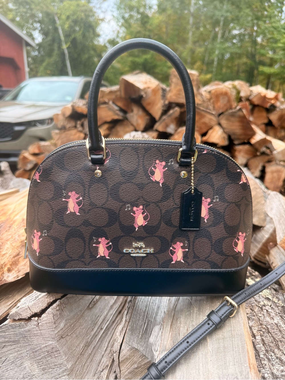 Coach Mini Sierra Party Mouse Satchel F87662